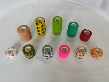 絆創膏テラリア